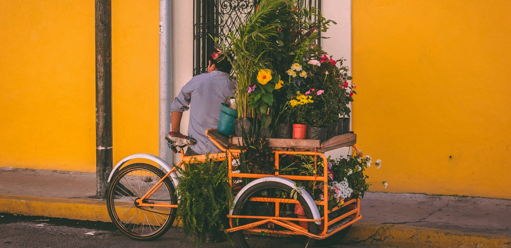 De Beste Fietsenvriendelijke Restaurants in Nederland