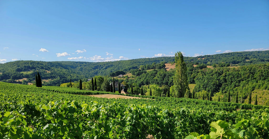 Tweedehandsfietsen en het Franse Platteland: Verkenning van Landelijke Wegen