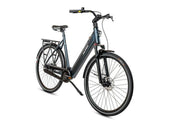 Altec Flow E-Bike Ash Gray