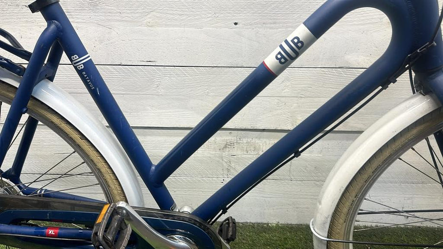 Batavus Bub