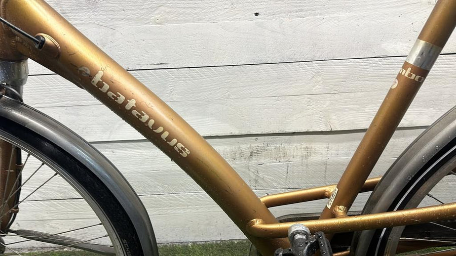 Batavus Mambo