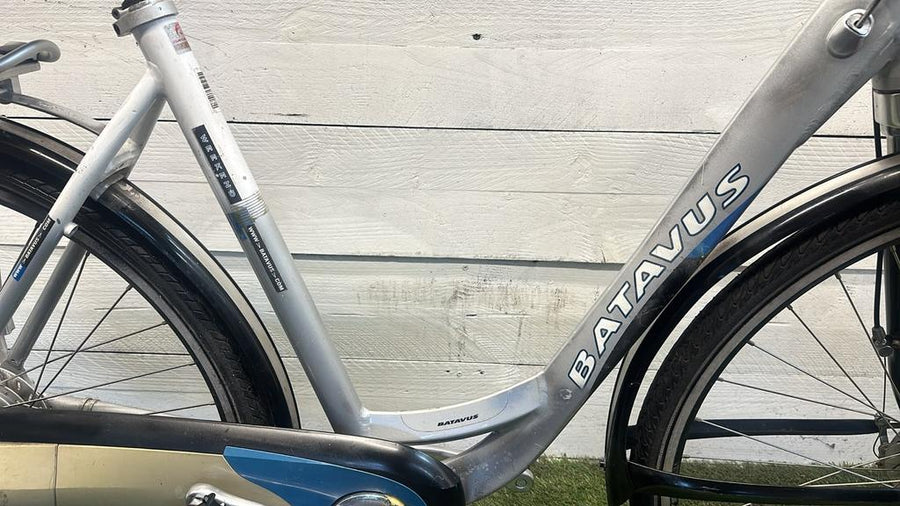 Batavus Weekend Lage Instap