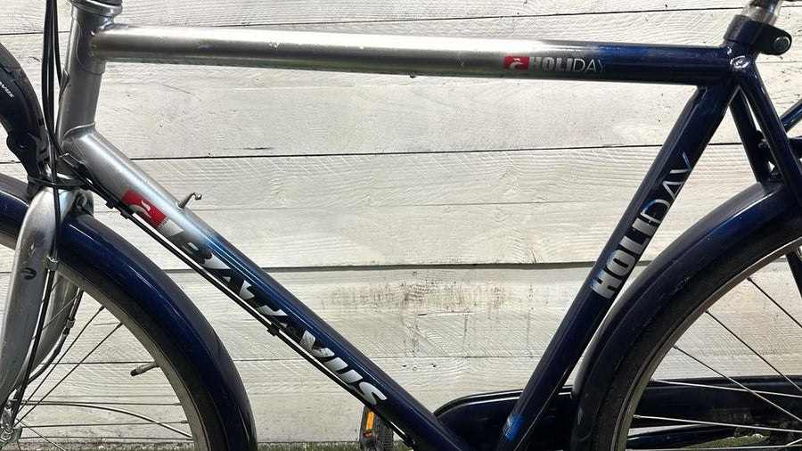 Batavus holiday v3 cm57 inch28
