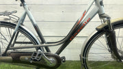 Gazelle Cadiz