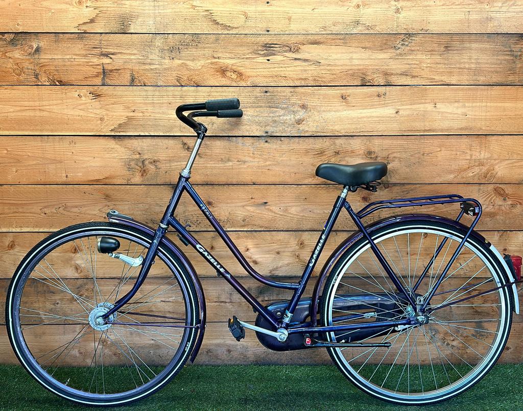 Gazelle Esprit 28inch 53cm
