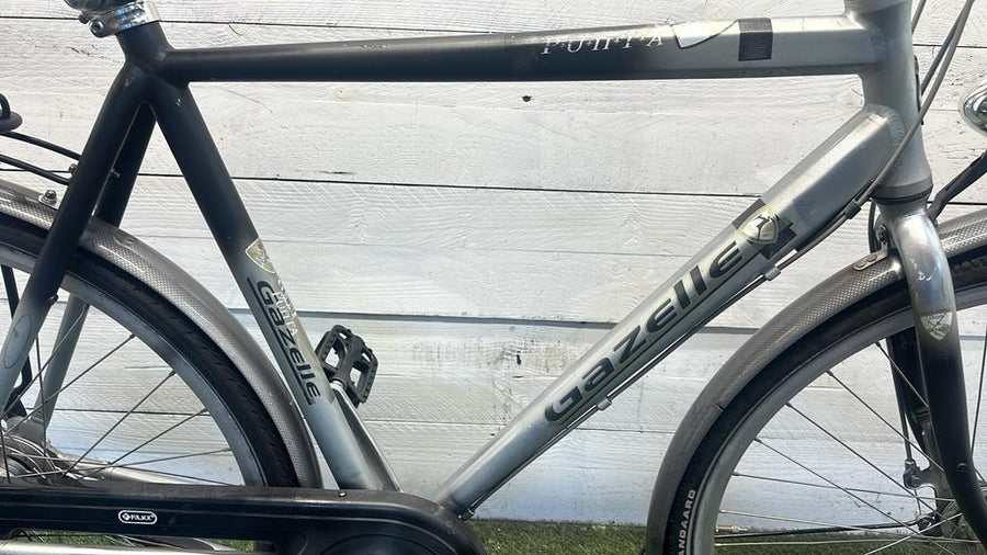 Gazelle Punta