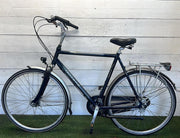 Gazelle Saphir