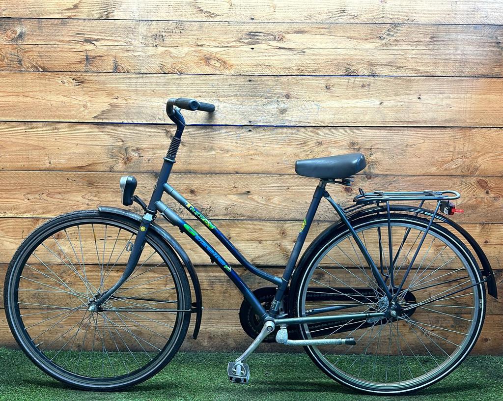 Gazelle Trendy 28inch 53cm