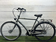 Gazelle Xanta