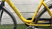 Gazelle orange v8 cm49 inch28