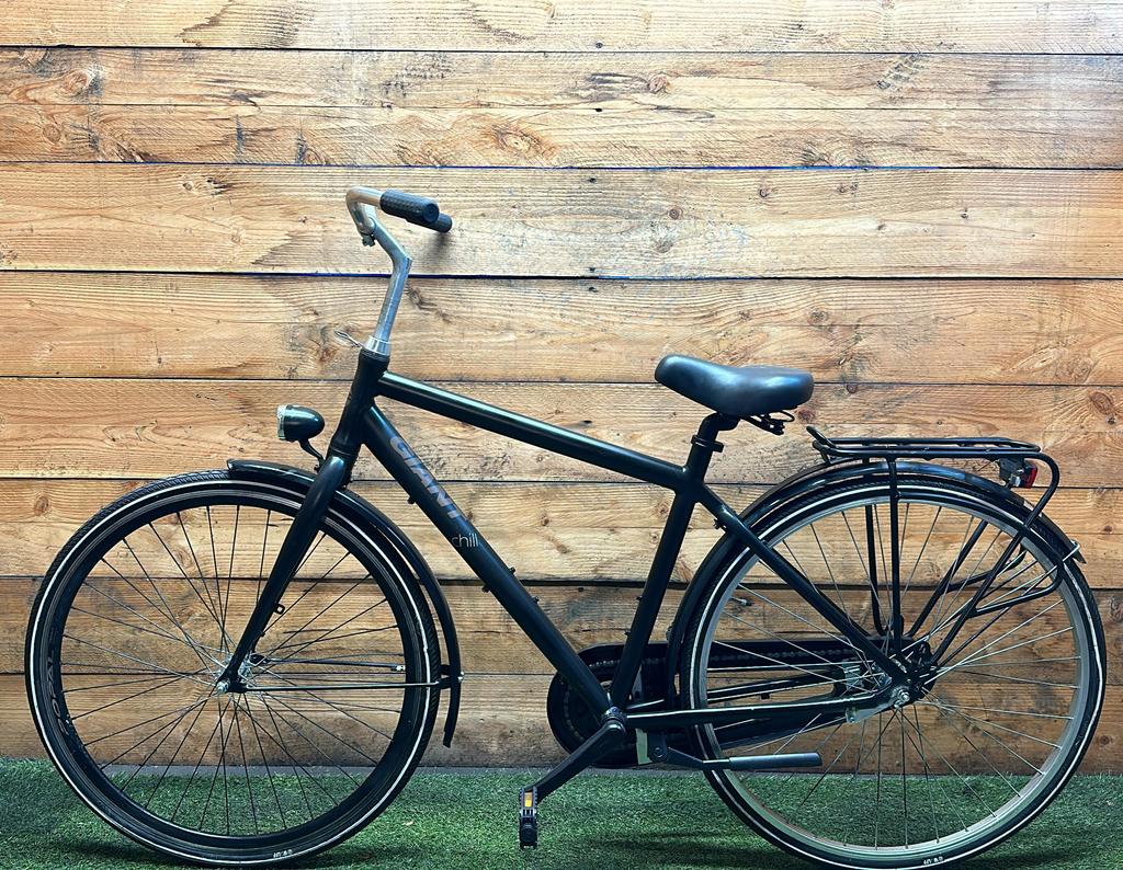 Giant Chill 28inch 50cm