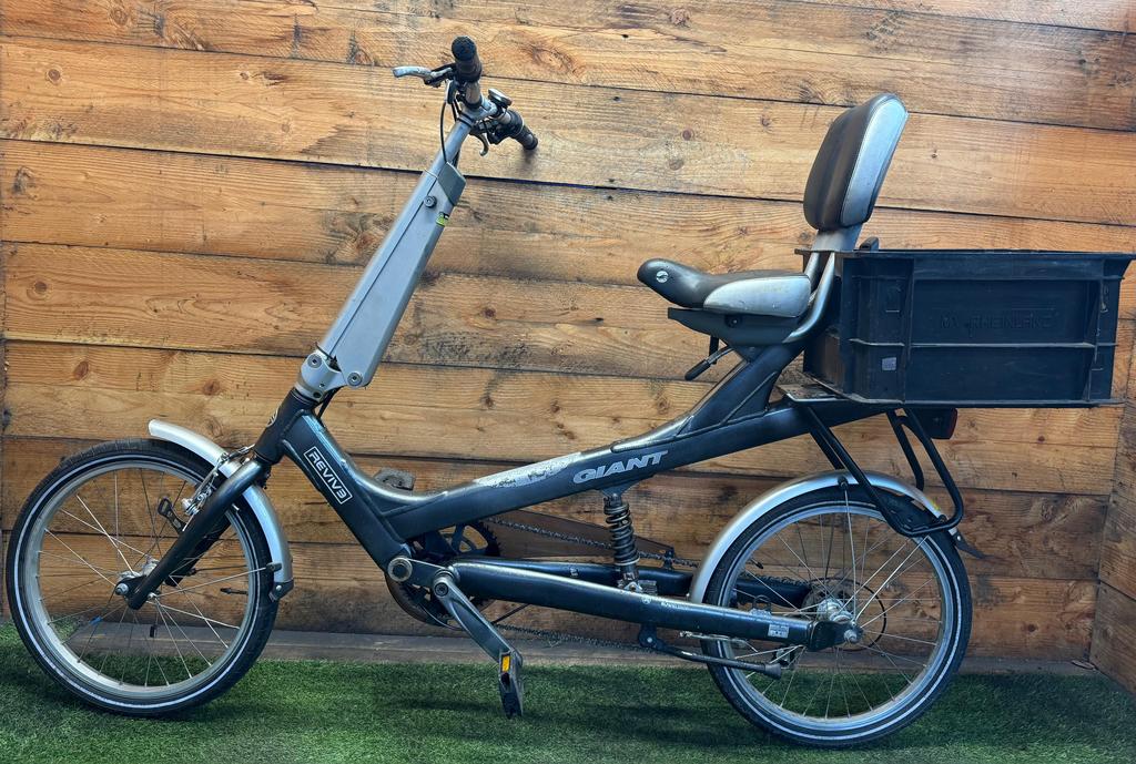 Giant Revive 8v 20inch