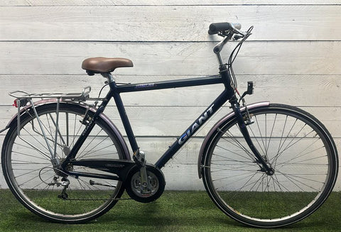 Giant jubilee v24 cm57 inch28