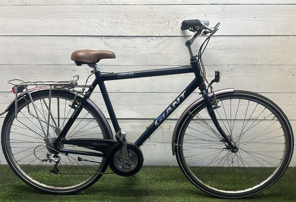Giant jubilee v24 cm57 inch28