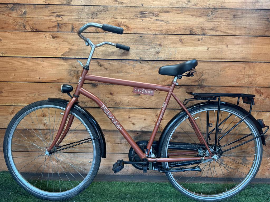 Hollandia City Life 28inch 57cm