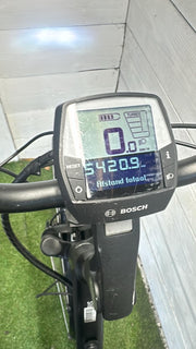 Pegasus E-bike