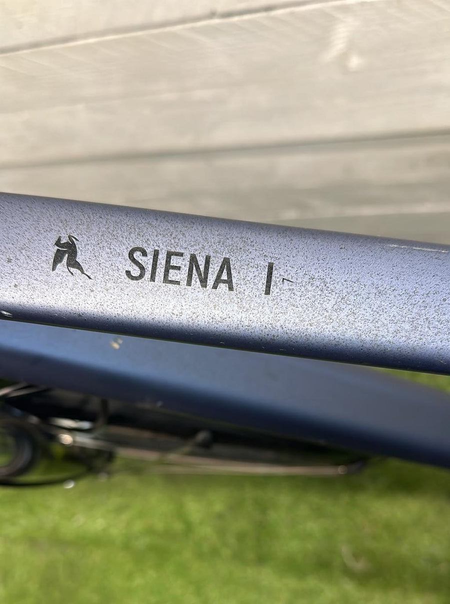 Pegasus Siena