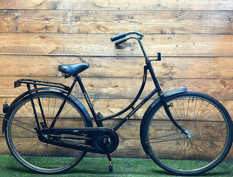 Pointer Glory 28Zoll 57cm