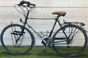 Raleigh Eagle