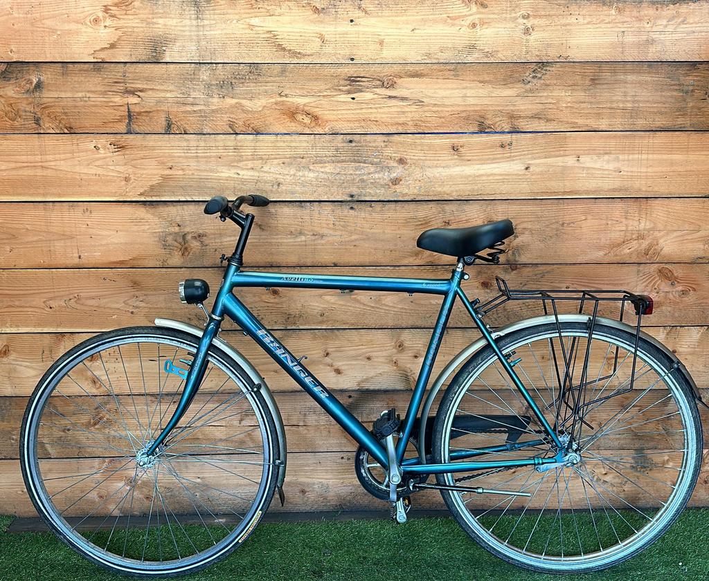 Ranger Avelino 28inch 56cm