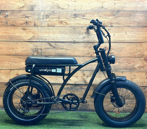 Windgoo Fatbike 7v 20Zoll